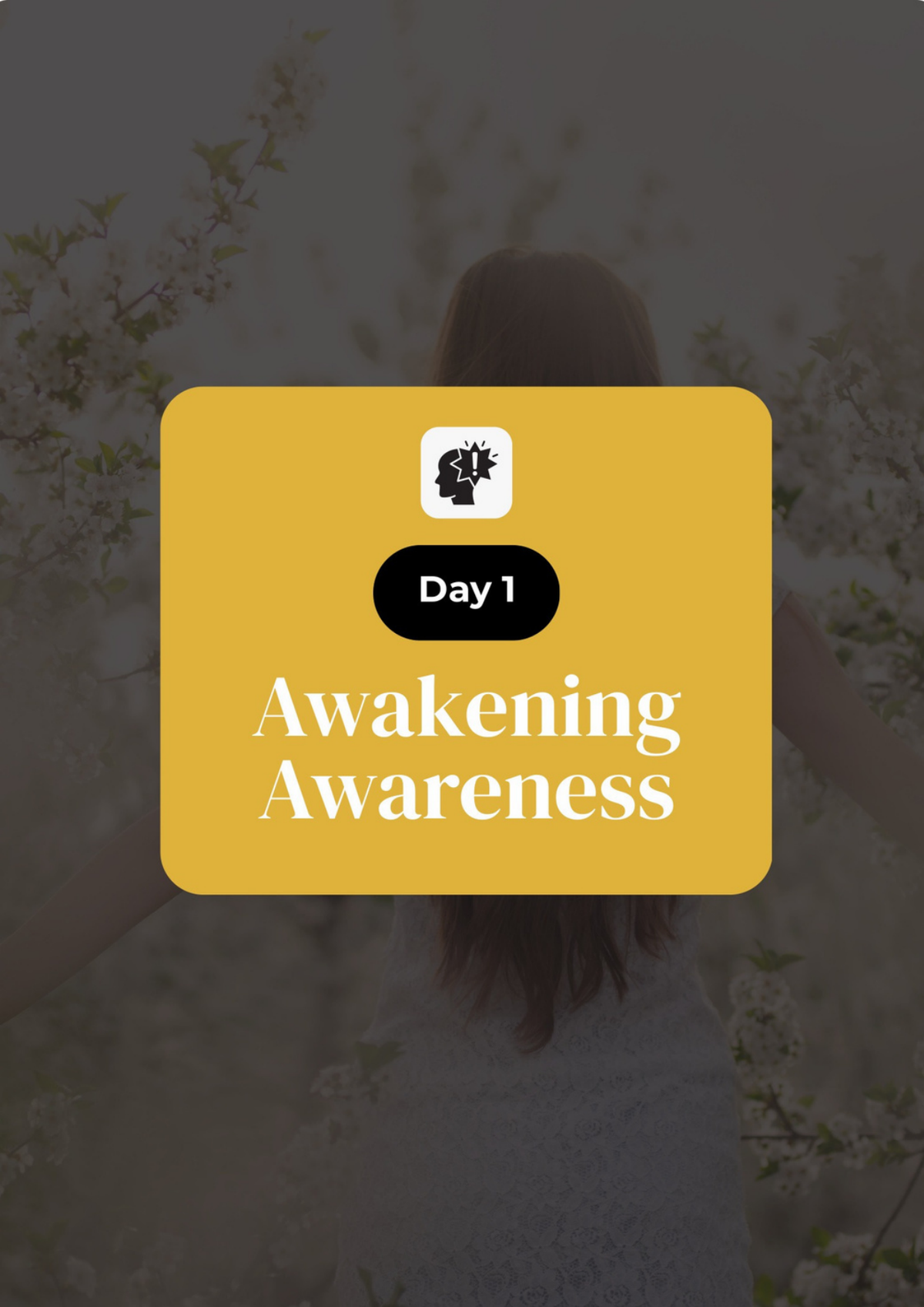 Brighter Within Foundation Series – 3 Ebook Bundle